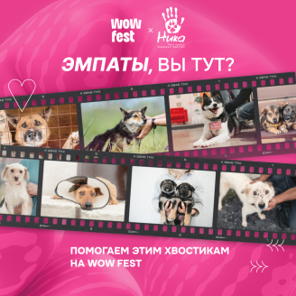Как талисман WOW FEST помогает бездомным животным?